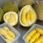 Durian Dine-In Singapore: Where to Eat the King of Fruits on the Spot