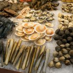 New Thai Tanic Live Seafood Hotpot: Catch, Cook, Feast