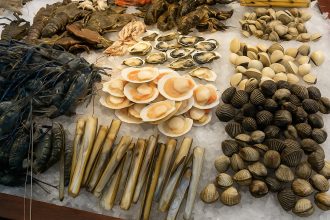 New Thai Tanic Live Seafood Hotpot: Catch, Cook, Feast
