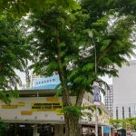 North Bridge Road Market & Food Centre: 10 Must-Try Stalls and How to Get There